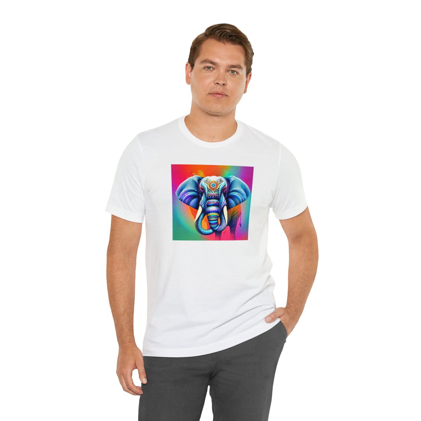 Decorated Elephant Ranibow Tee