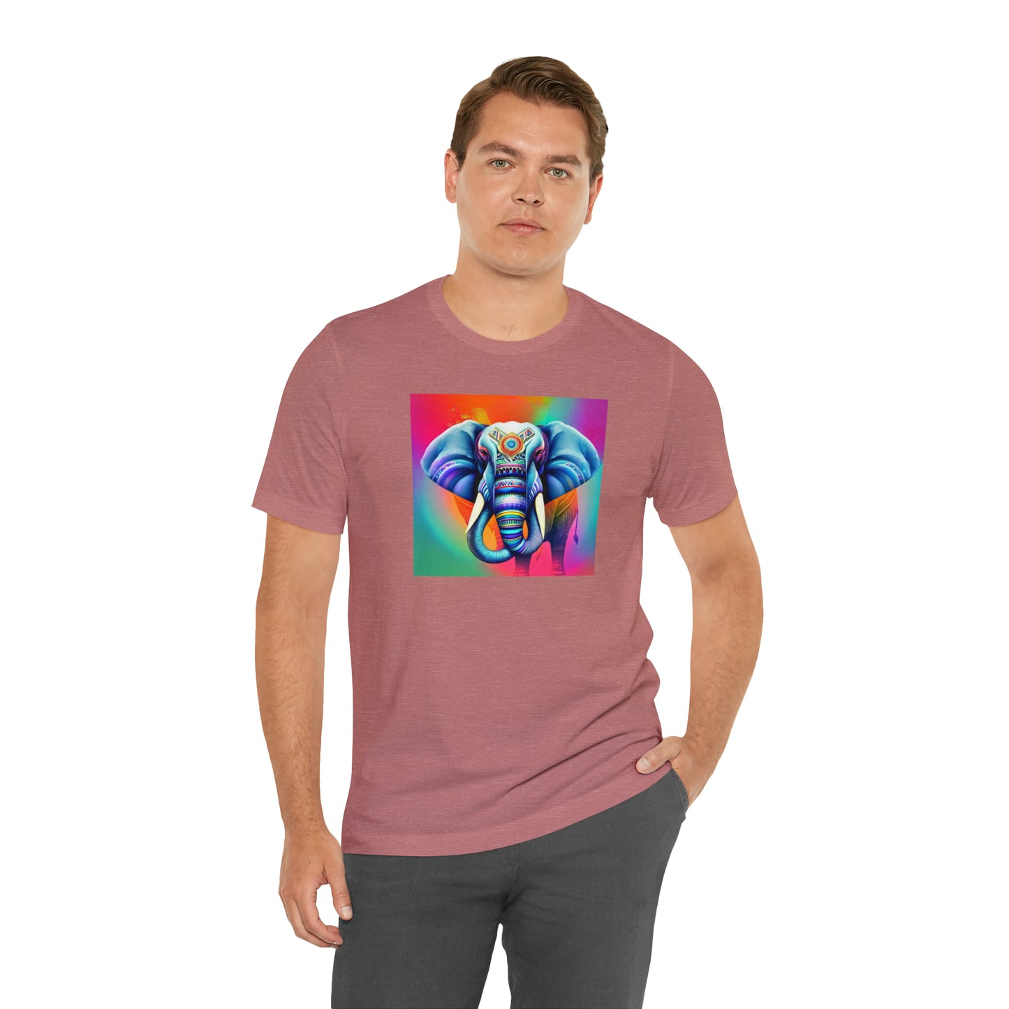 Decorated Elephant Ranibow Tee