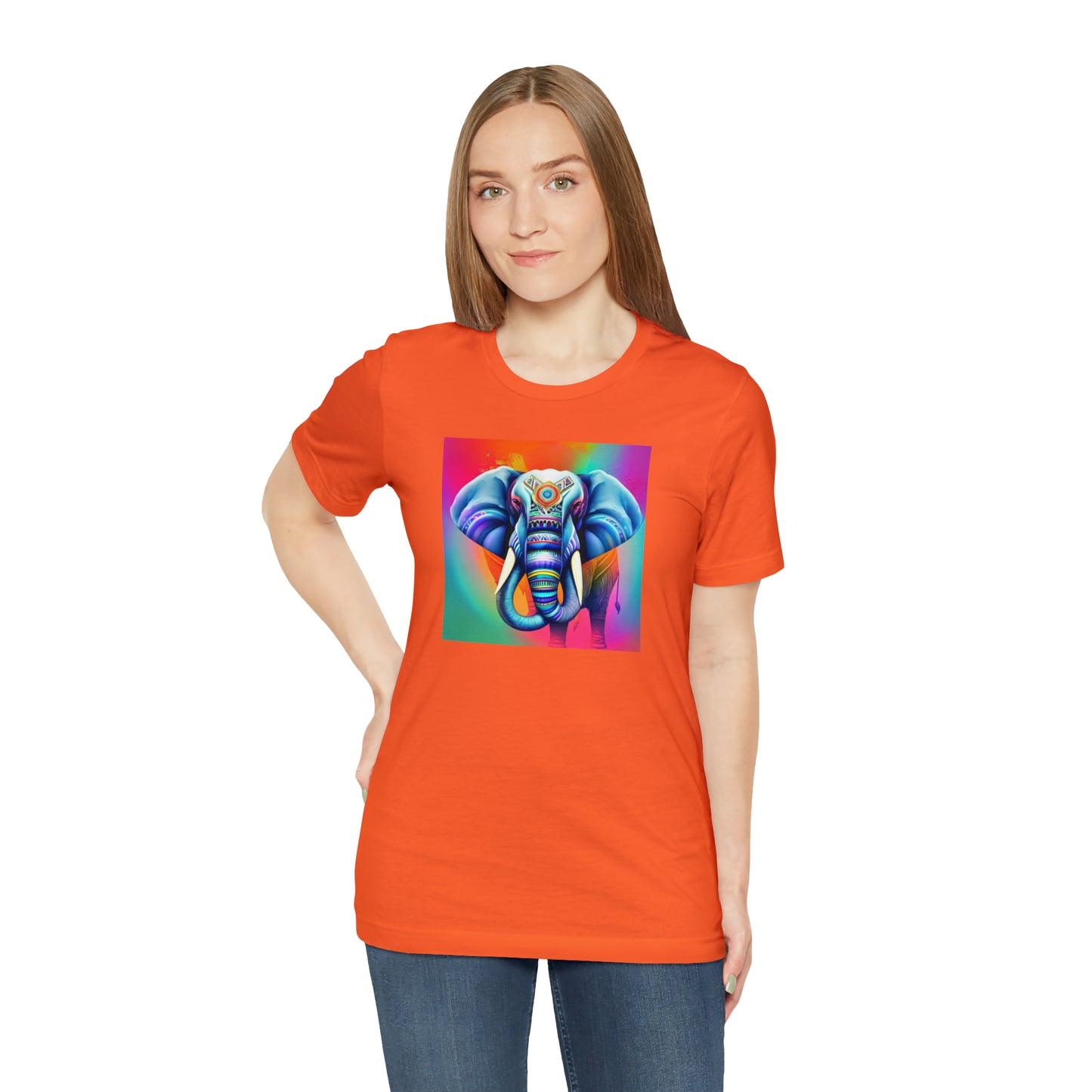 Decorated Elephant Ranibow Tee