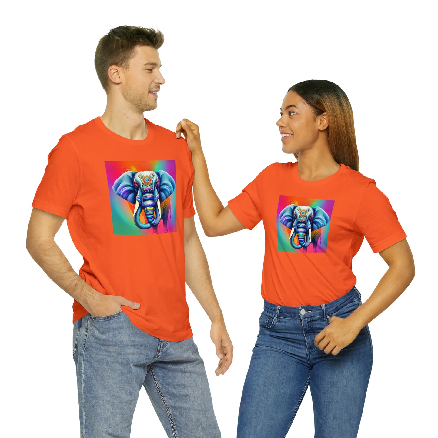 Decorated Elephant Ranibow Tee