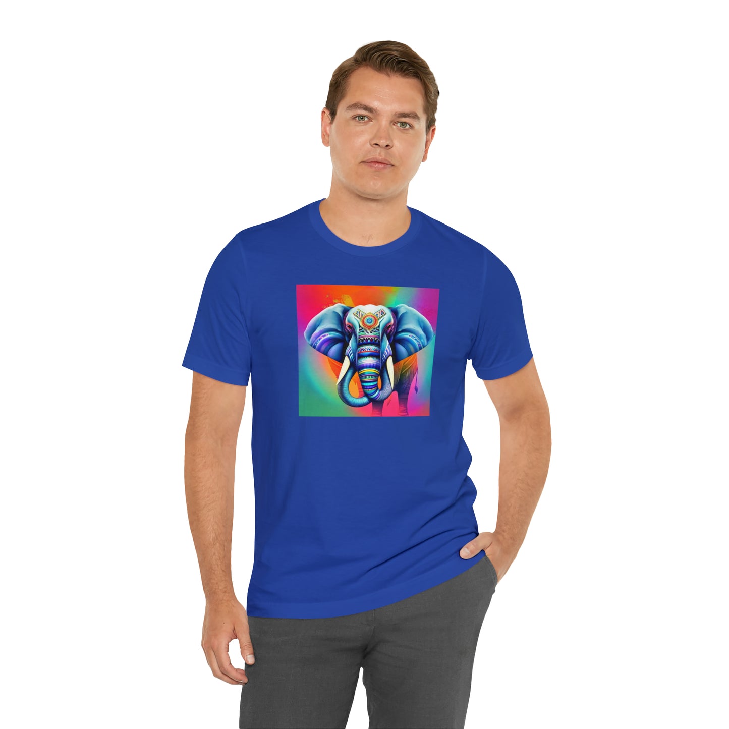 Decorated Elephant Ranibow Tee