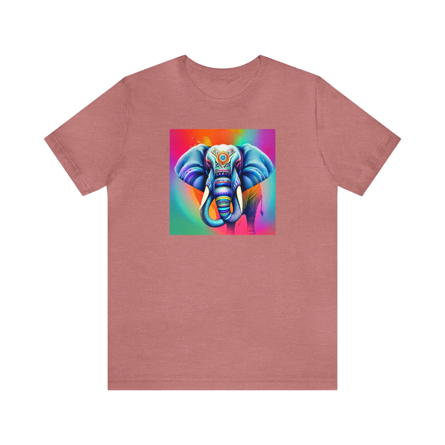 Decorated Elephant Ranibow Tee