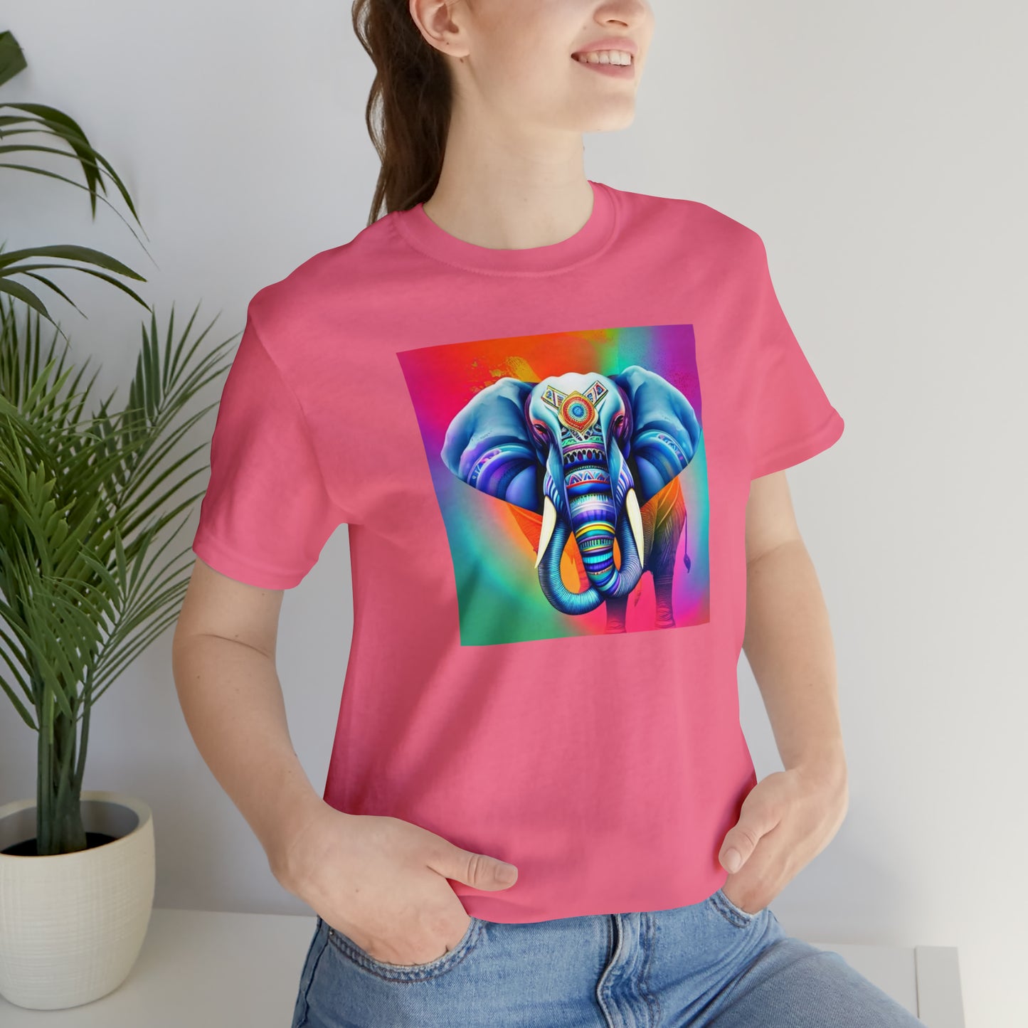Decorated Elephant Ranibow Tee