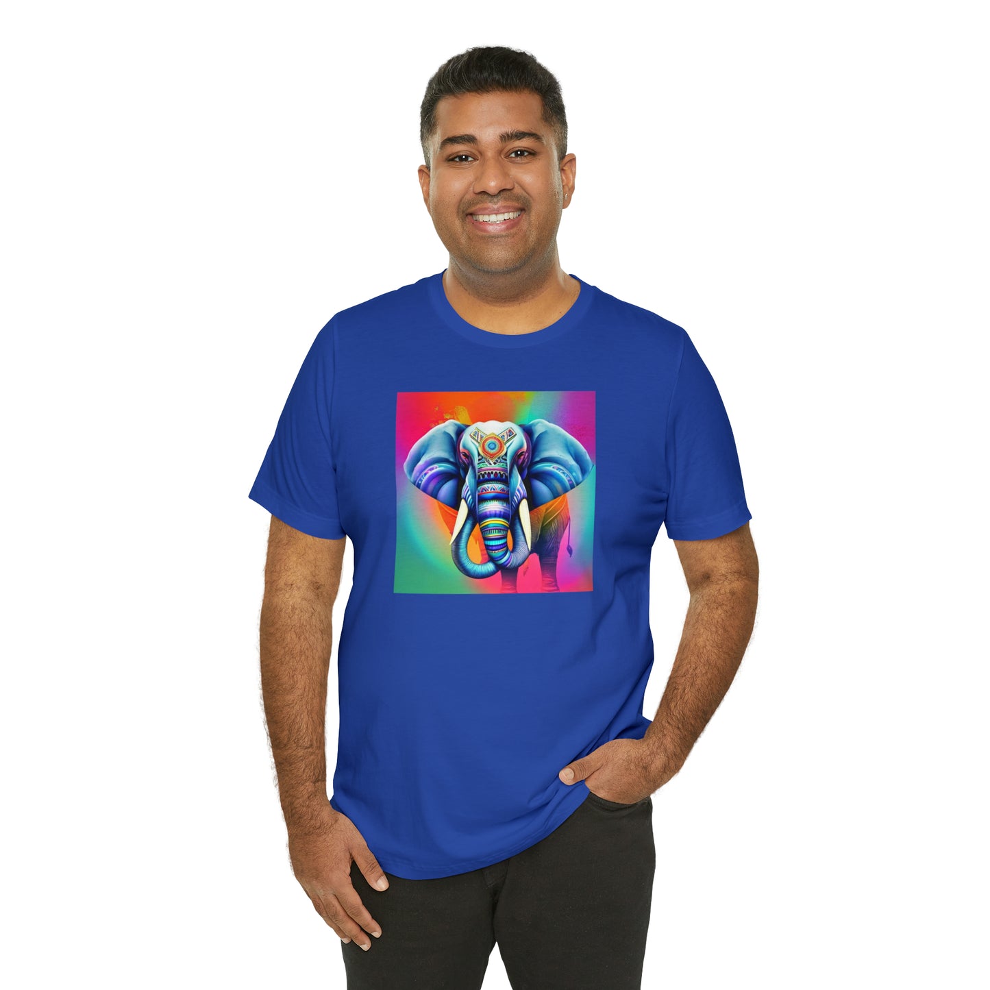 Decorated Elephant Ranibow Tee