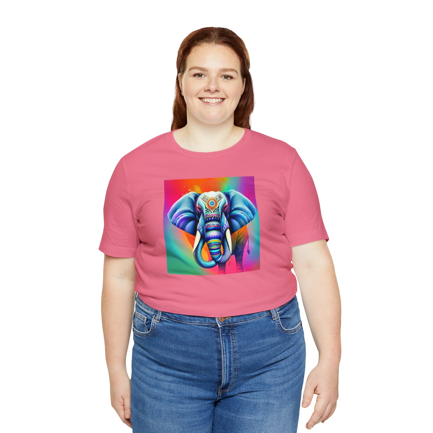 Decorated Elephant Ranibow Tee