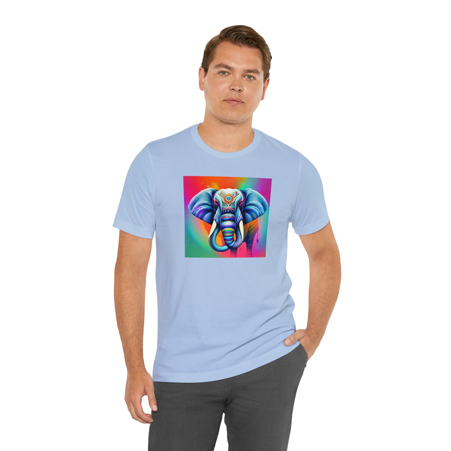 Decorated Elephant Ranibow Tee