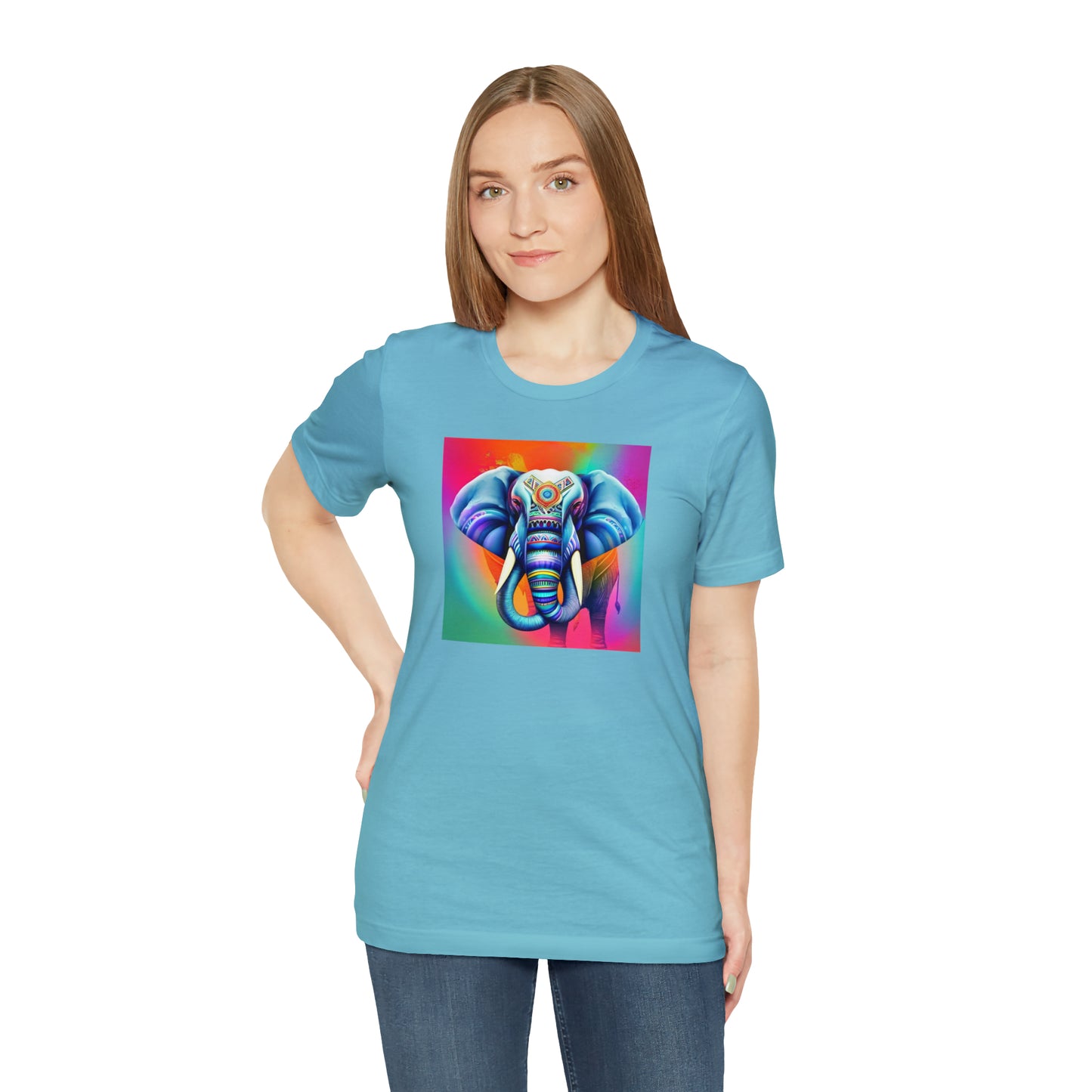 Decorated Elephant Ranibow Tee