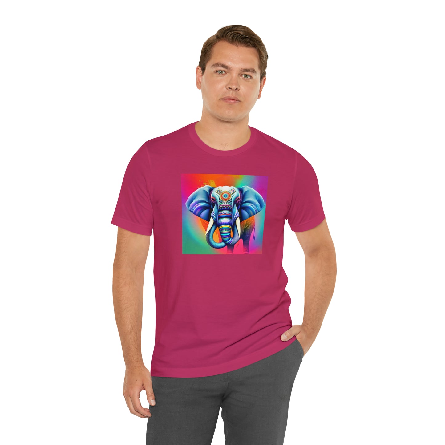 Decorated Elephant Ranibow Tee