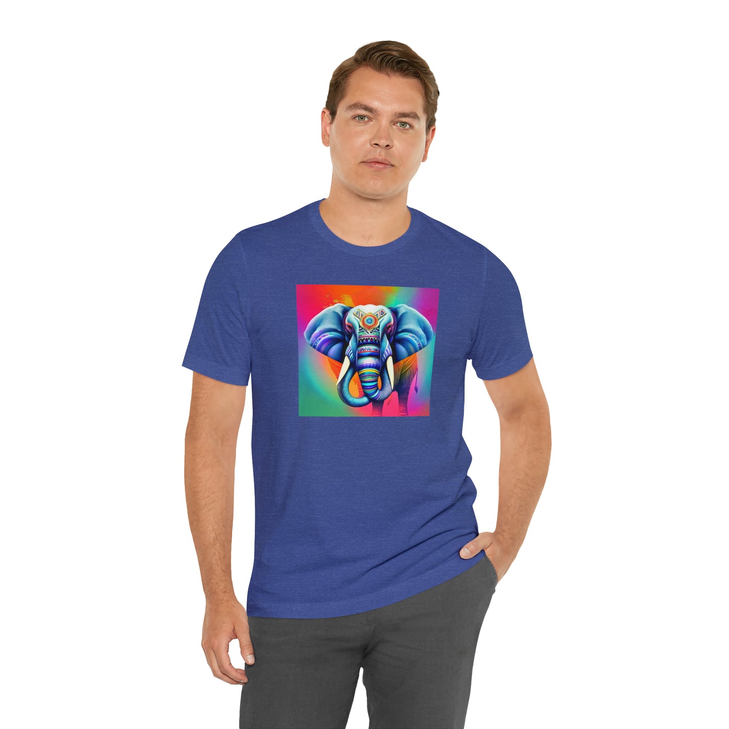Decorated Elephant Ranibow Tee