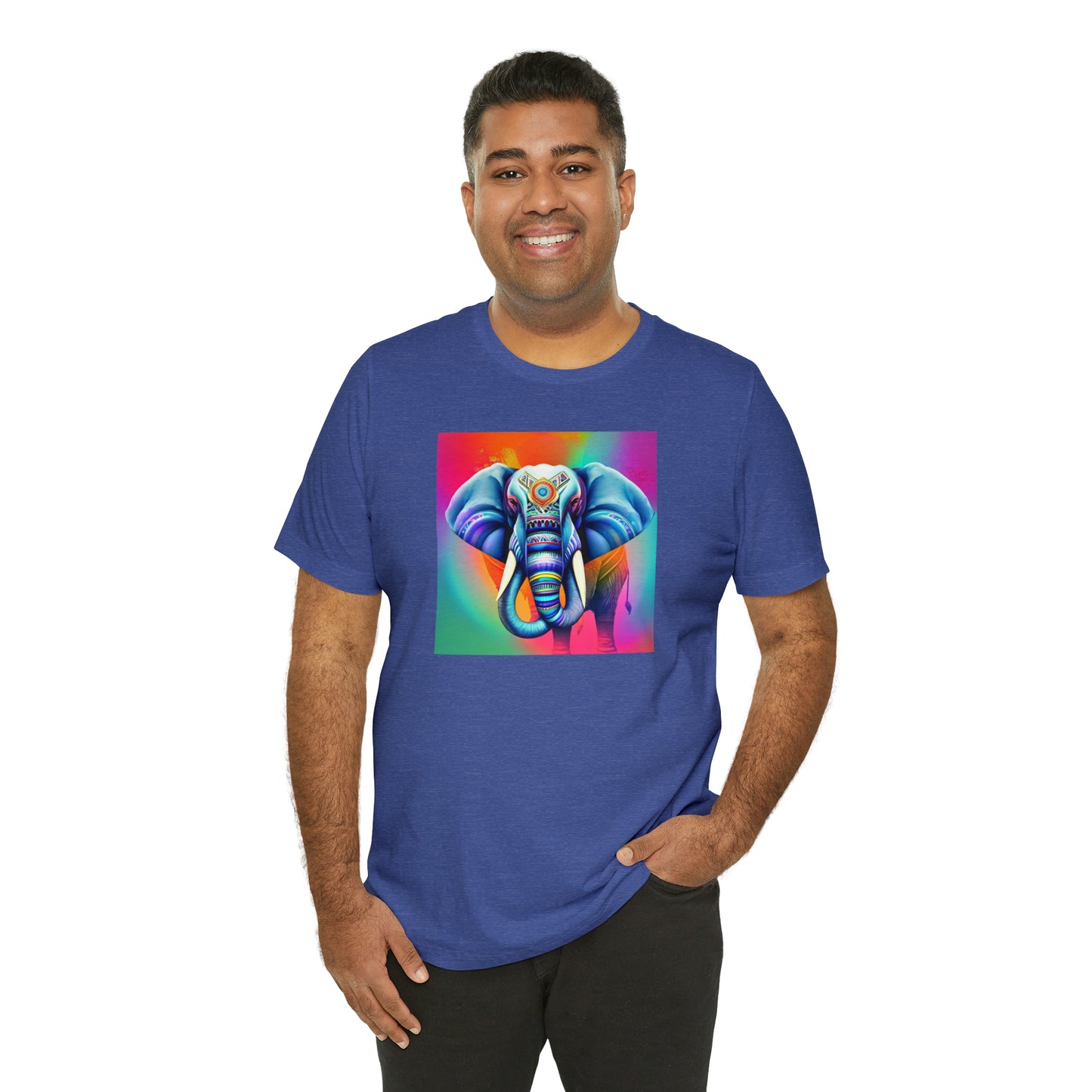 Decorated Elephant Ranibow Tee