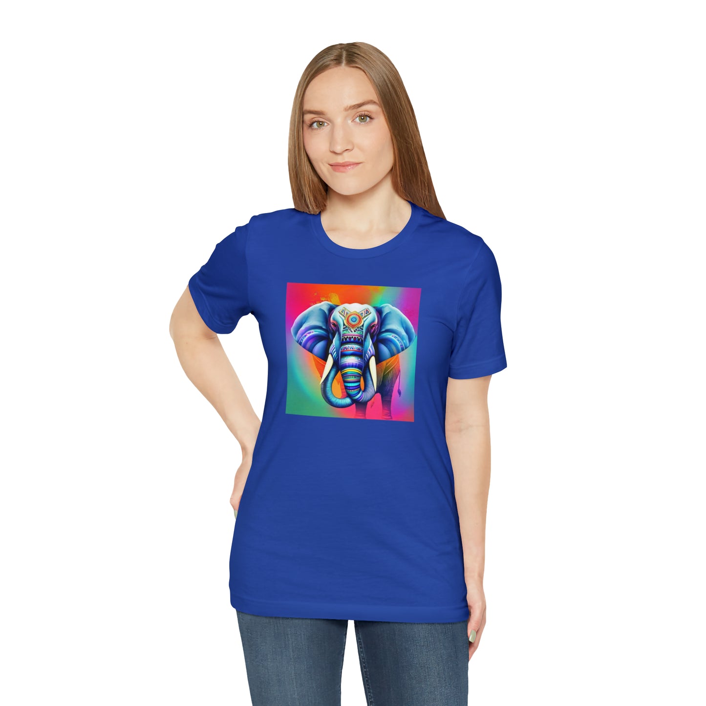 Decorated Elephant Ranibow Tee