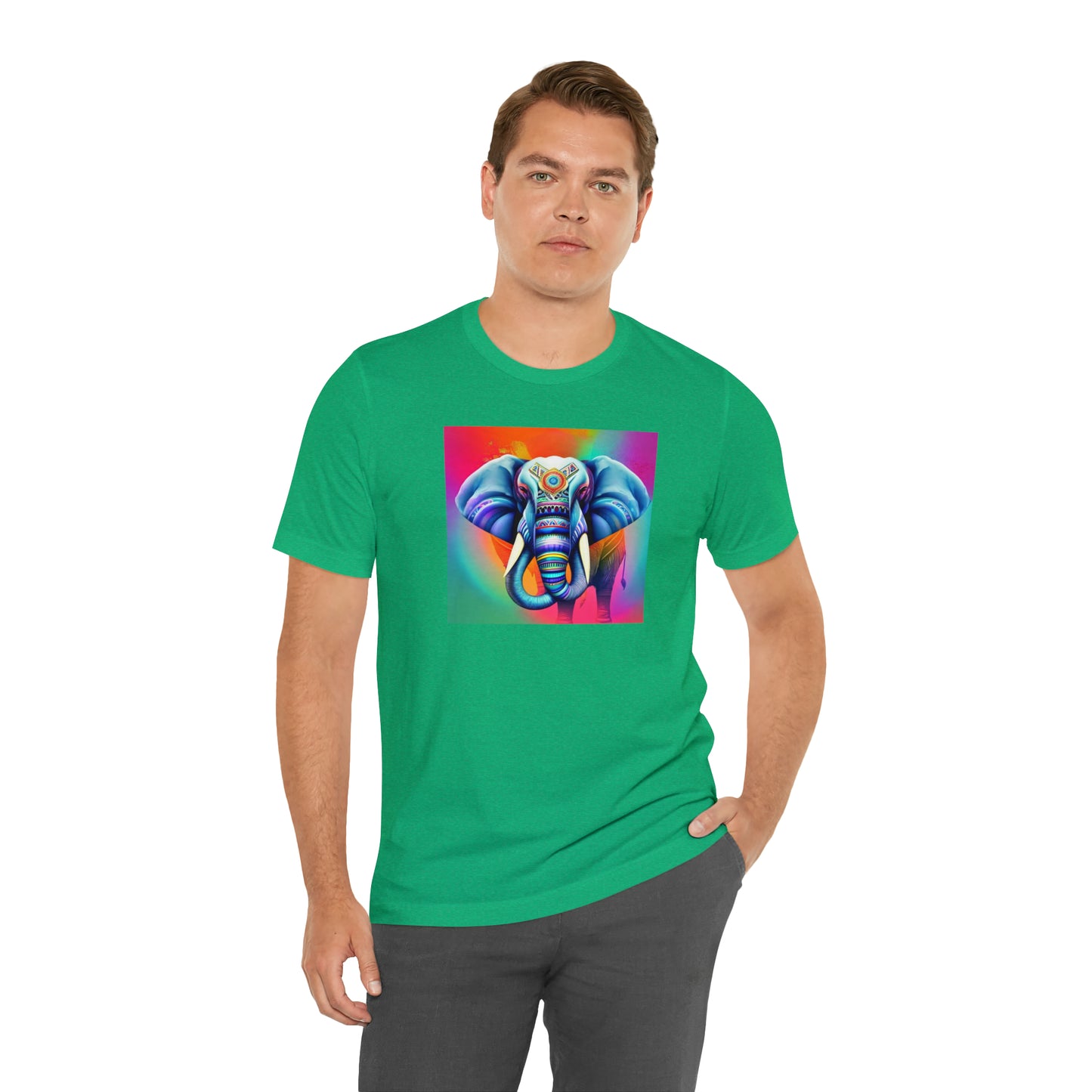 Decorated Elephant Ranibow Tee