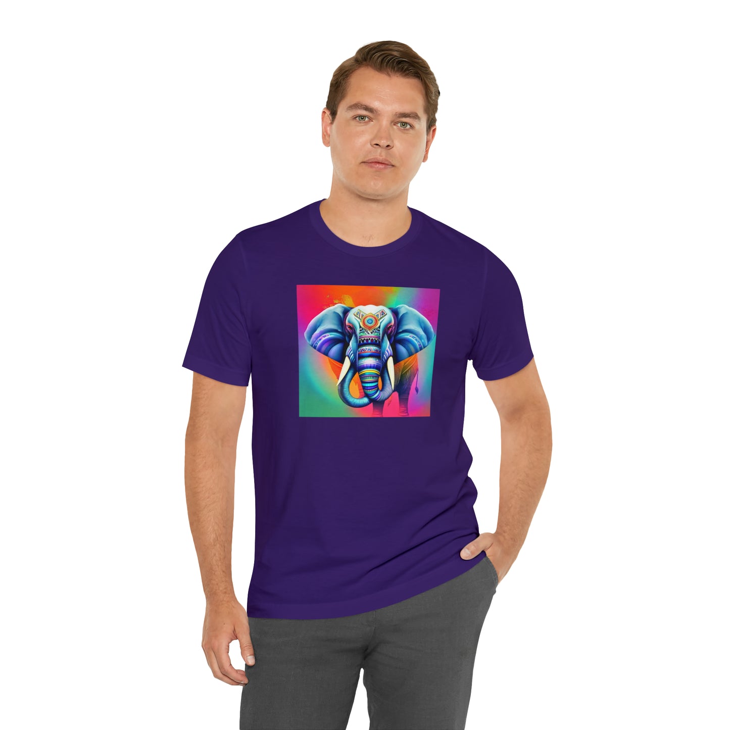 Decorated Elephant Ranibow Tee