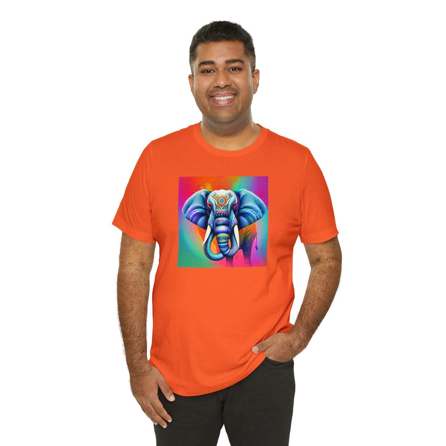 Decorated Elephant Ranibow Tee