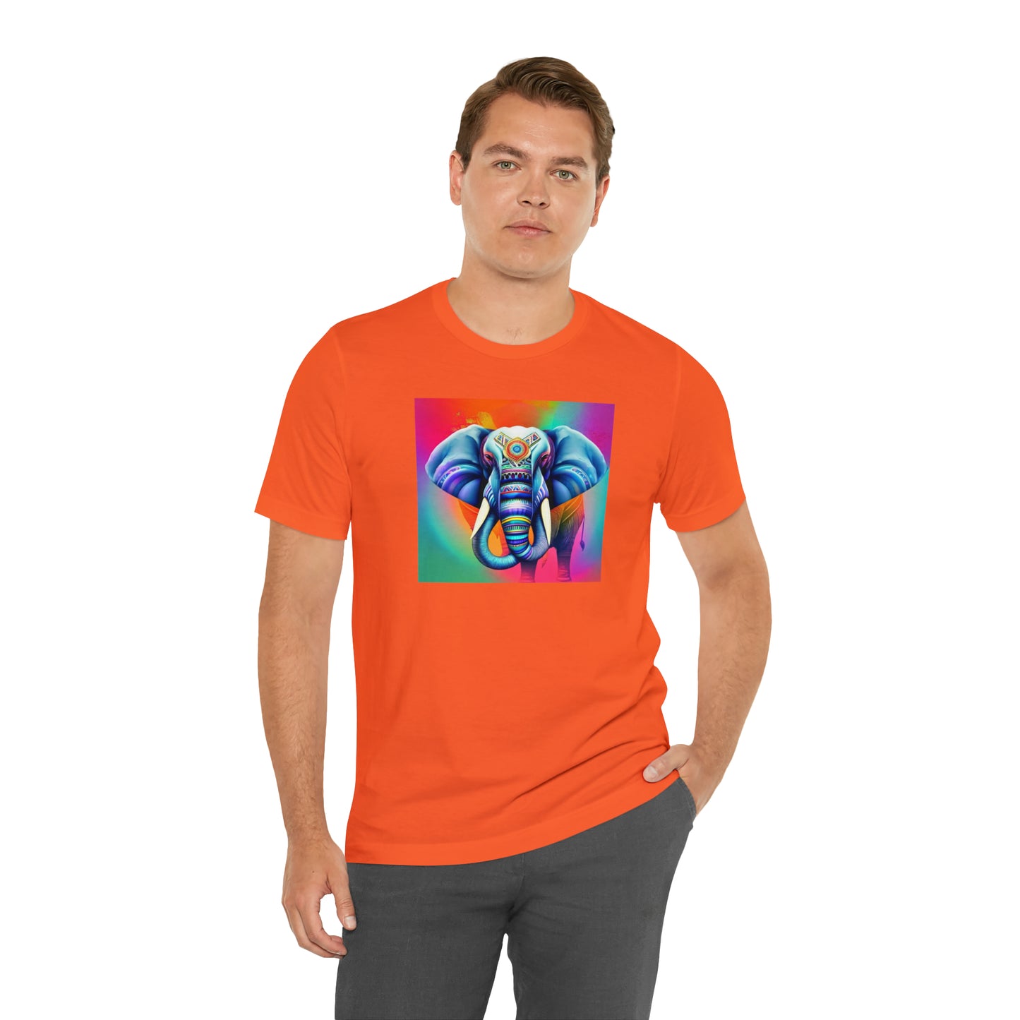 Decorated Elephant Ranibow Tee