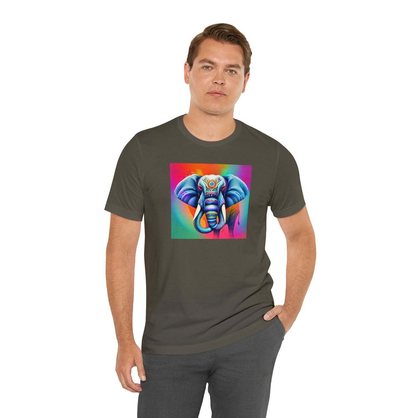 Decorated Elephant Ranibow Tee