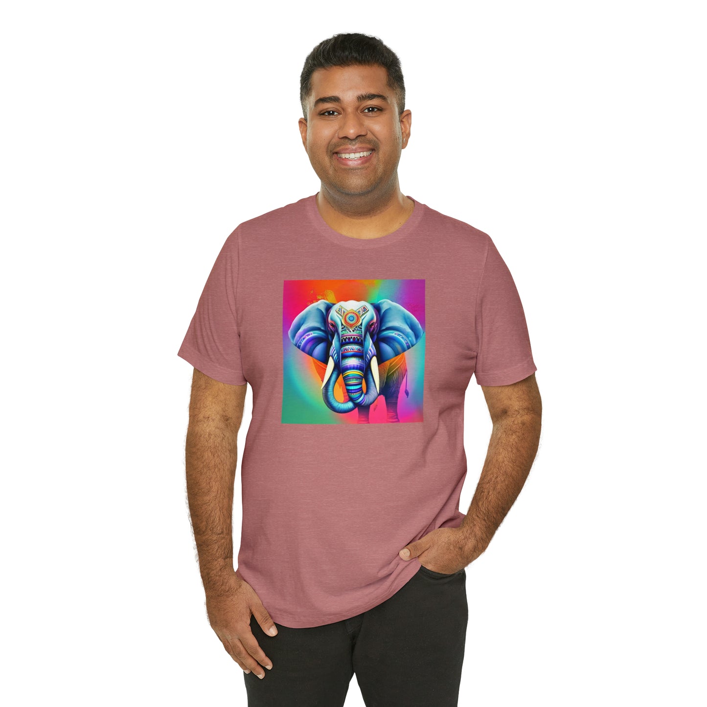 Decorated Elephant Ranibow Tee