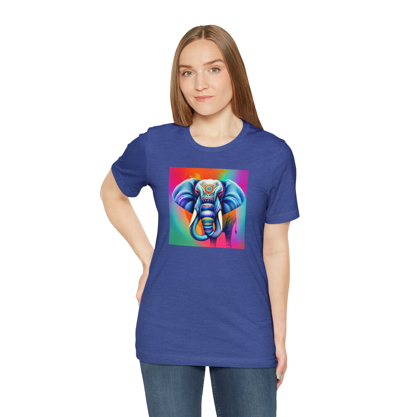 Decorated Elephant Ranibow Tee
