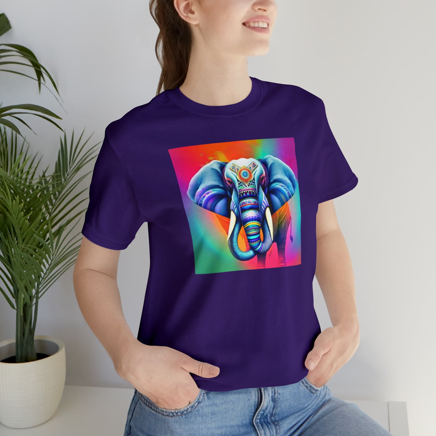 Decorated Elephant Ranibow Tee