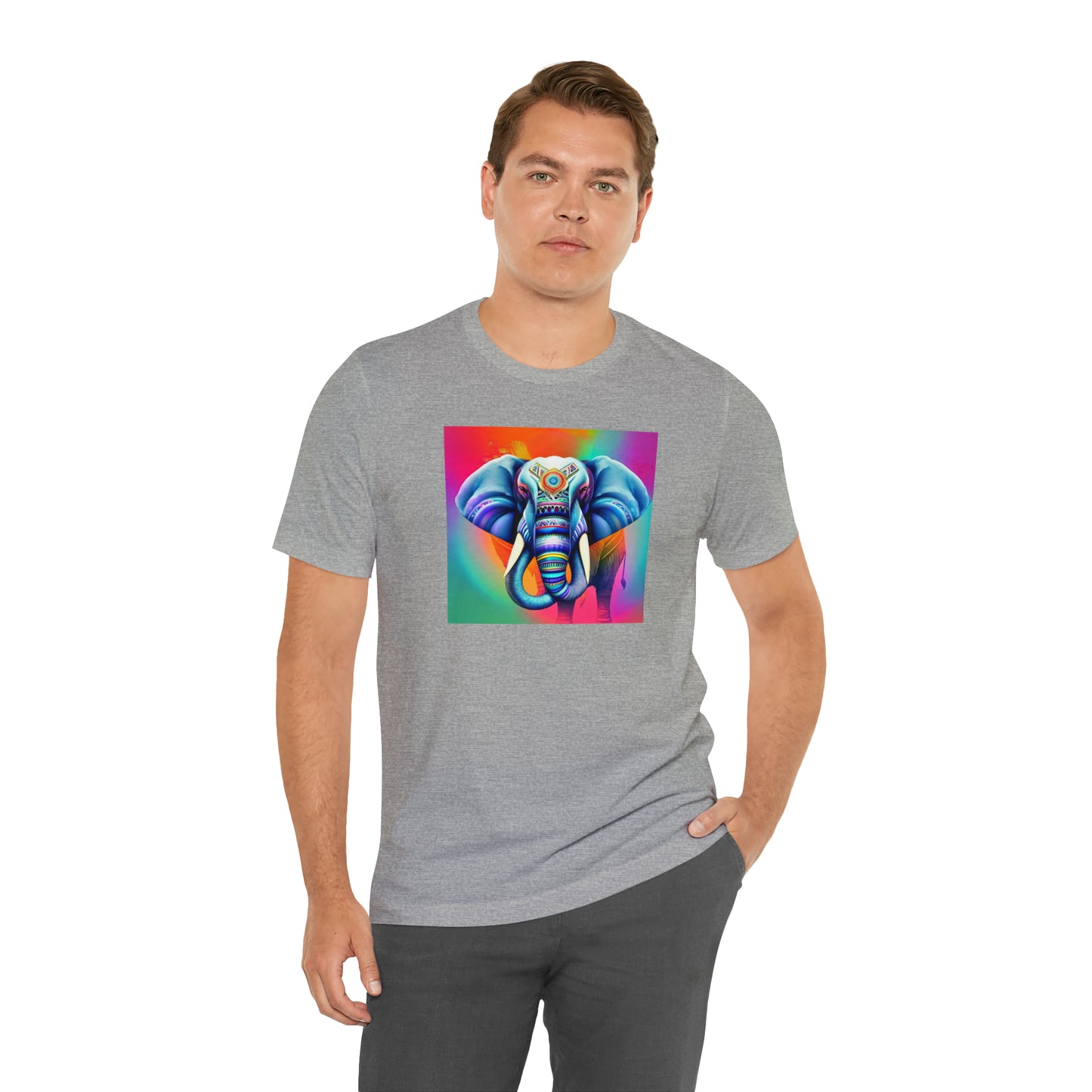 Decorated Elephant Ranibow Tee