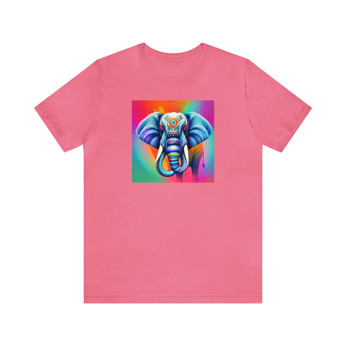 Decorated Elephant Ranibow Tee