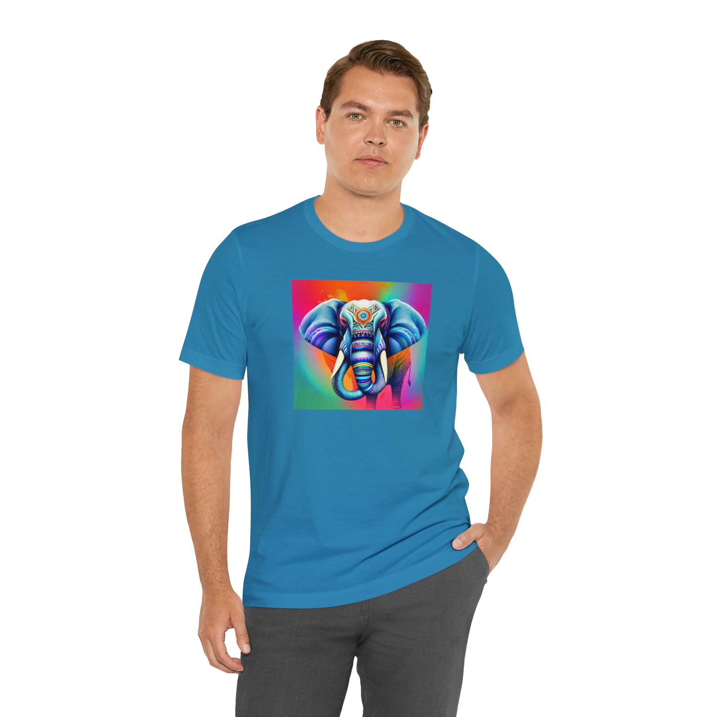 Decorated Elephant Ranibow Tee