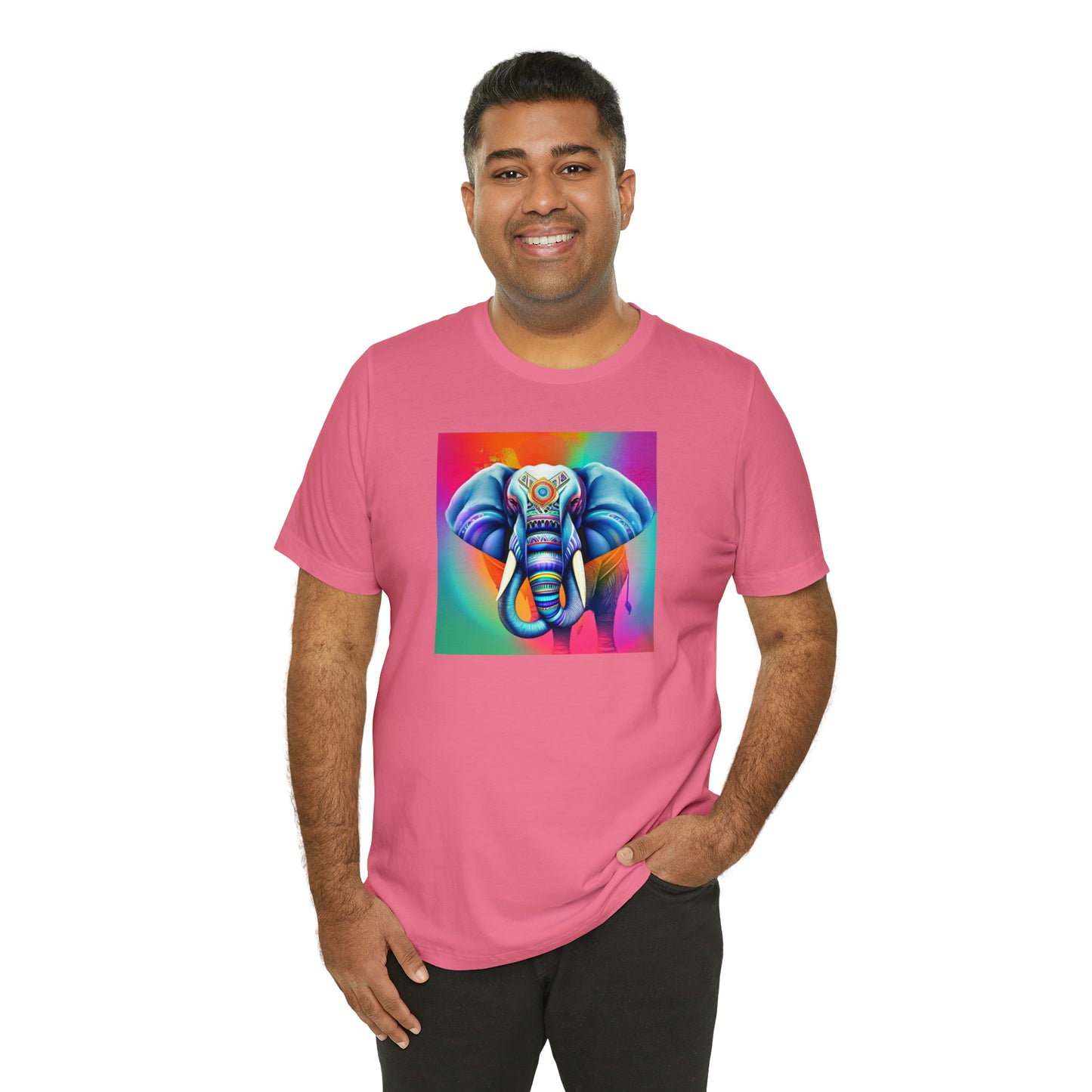 Decorated Elephant Ranibow Tee